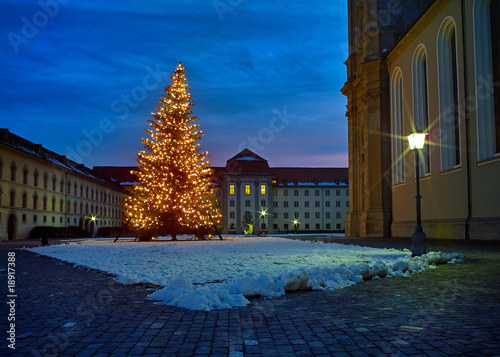 Christbaum photo