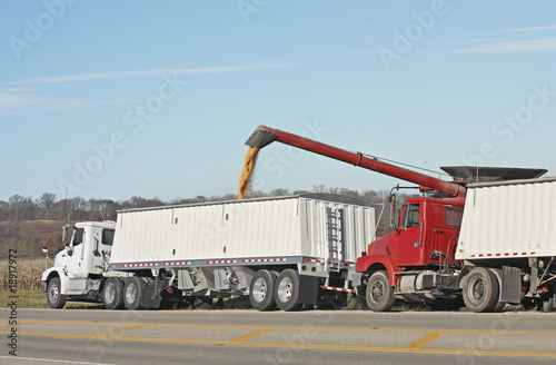 Loading Corn