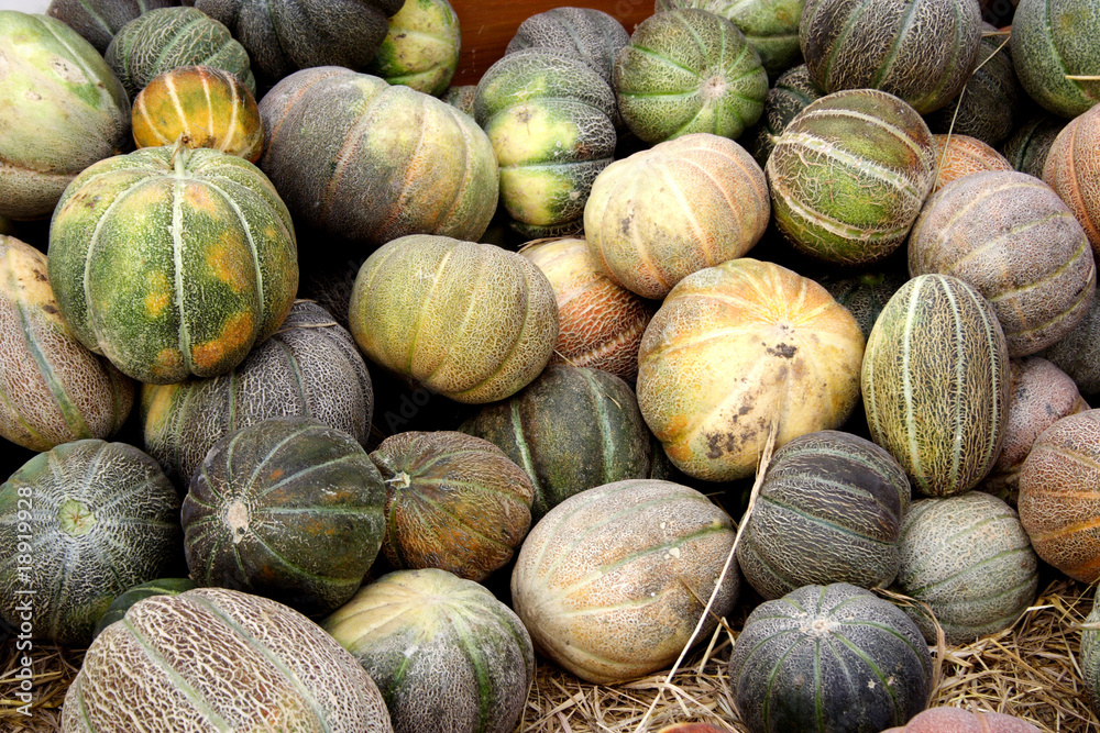 Muskmelons