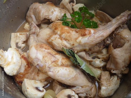 lapin en gibelotte photo