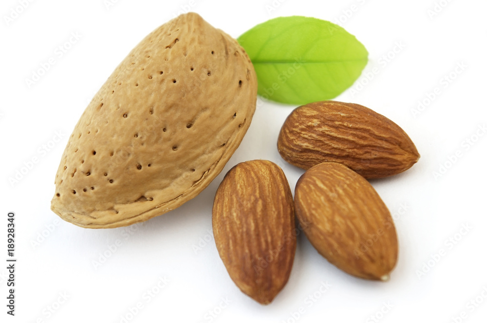 Almond with kernel Almond with kernel