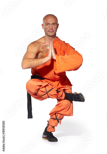 Canvas-taulu Shaolin warrior monk