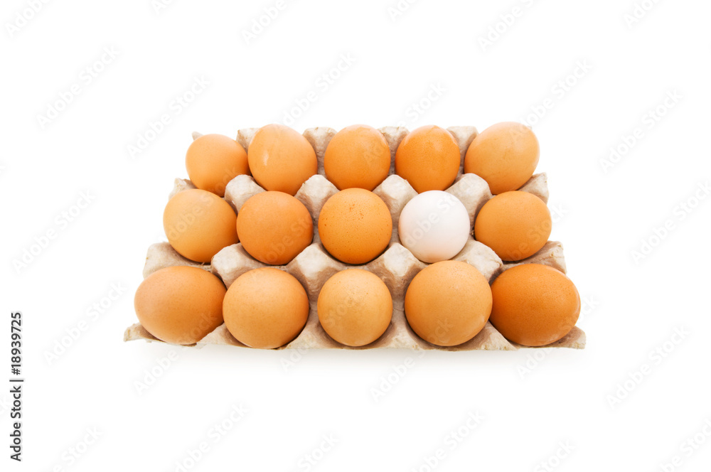 Stand out of crowd concept with eggs on white