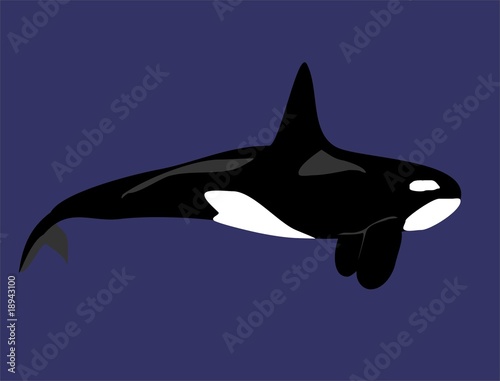 orca