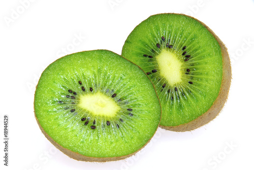 Kiwi 23