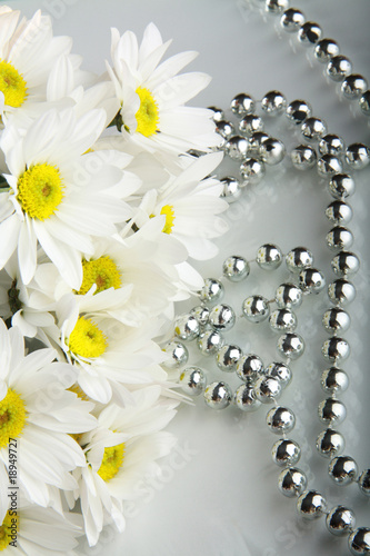 Tableau sur toile bouquet daisywheel
