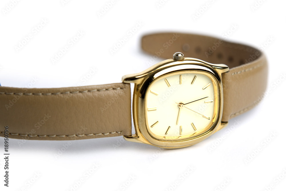 Wristwatch on white background. Wristwatch on white background.