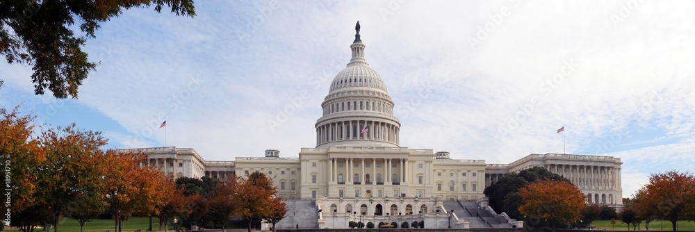 Fototapeta premium US Capitol Panoramic