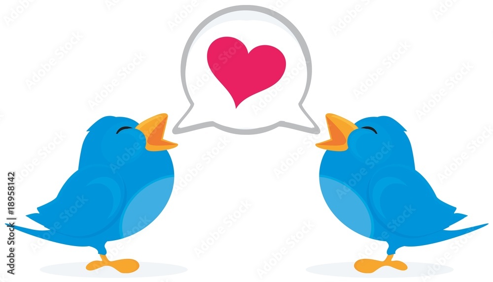 birds in love birds in love