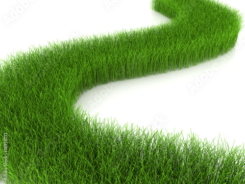 grassy road isolated