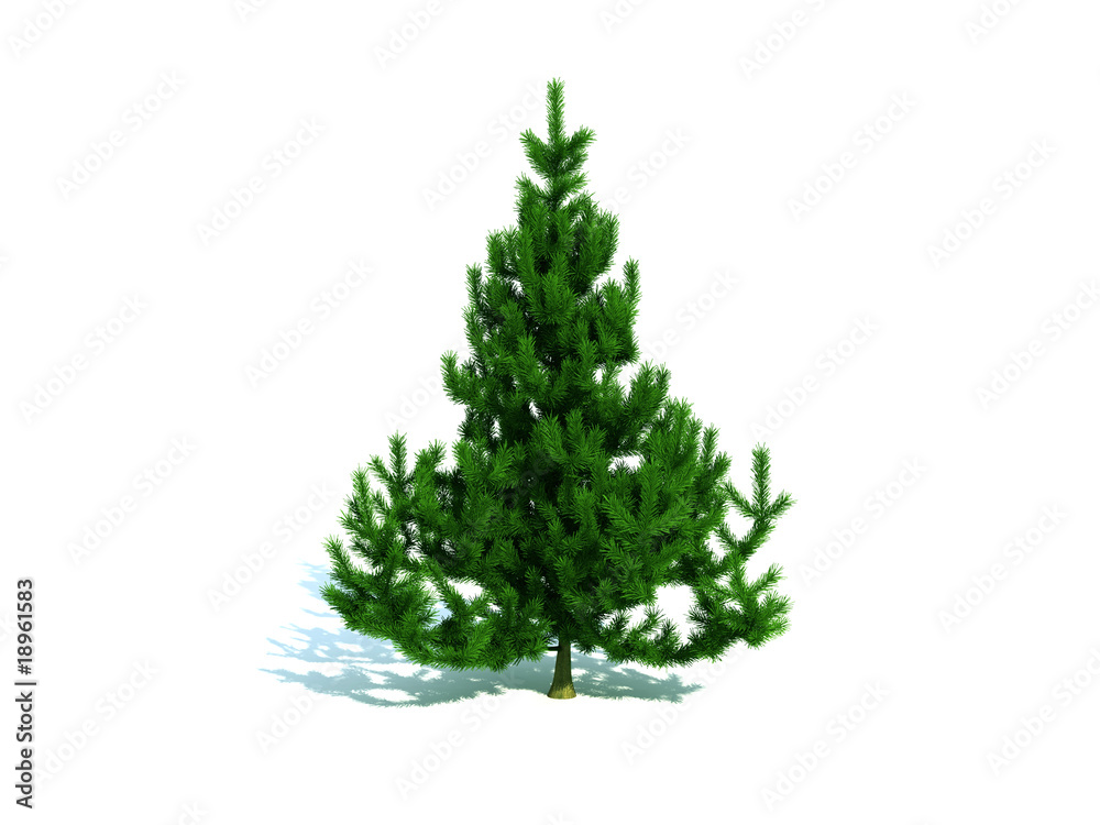 Fototapeta premium New Year Tree