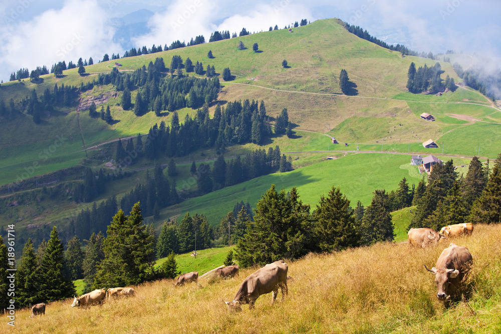 Alps landscape