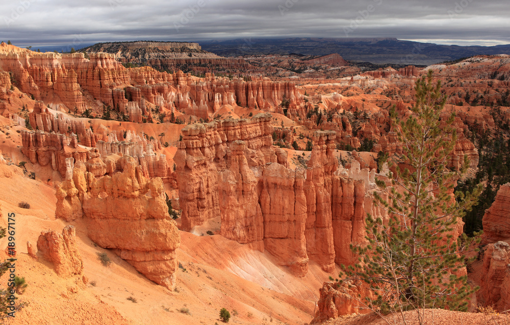 falaises roses de bryce canyon