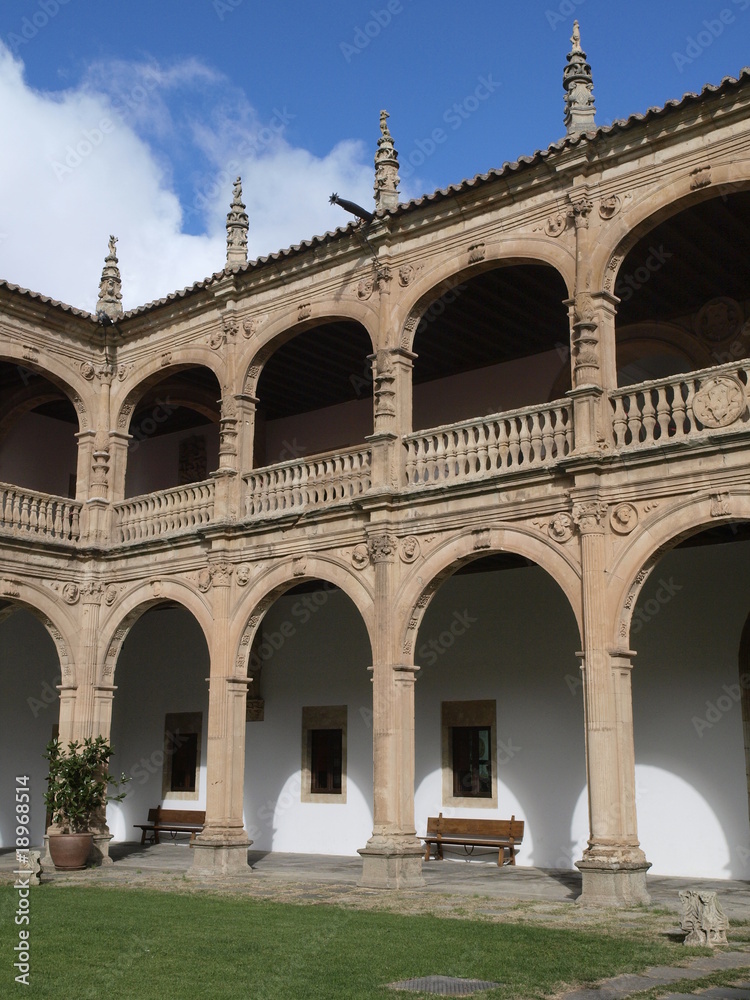 Patio del Palacio de los Fonseca en Salamanca