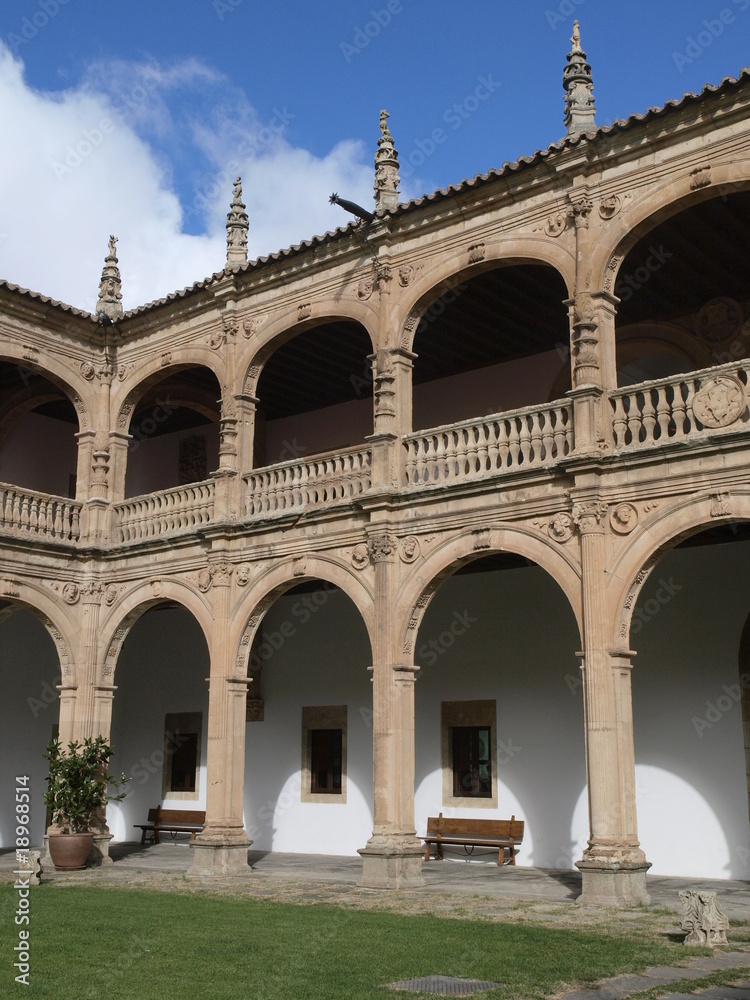 Fototapeta premium Patio del Palacio de los Fonseca en Salamanca