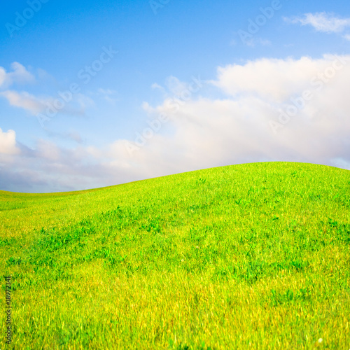 gentle hill in a beautiful field