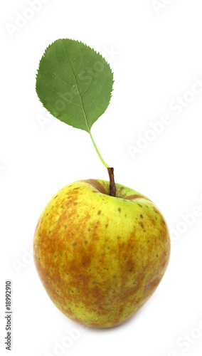 Apple organic food