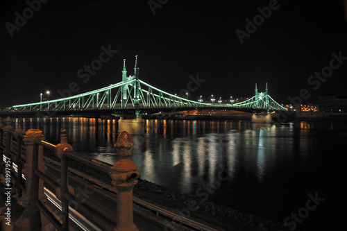 The Liberty Bridge in Budapest 2