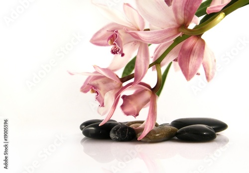 Orchid and pebbles,Zen atmosphere.