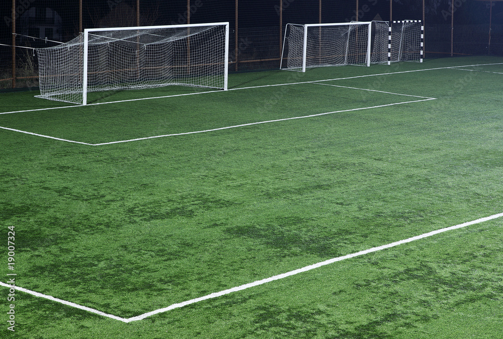 Fototapeta premium Football pitch with tree goals