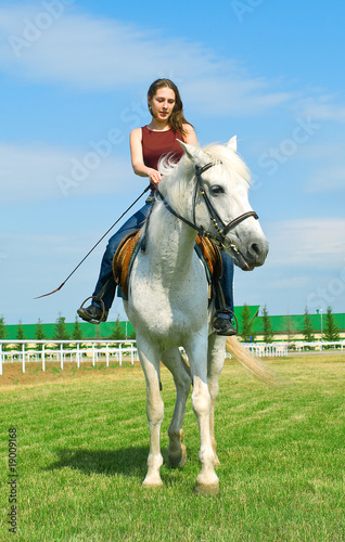 smiling girl embraces a white horse © vikiri