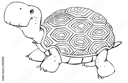 Schildkröte, Turtle, alt, langsam, glücklich, Opa, Oma