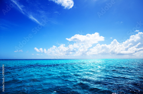 ocean and perfect sky
