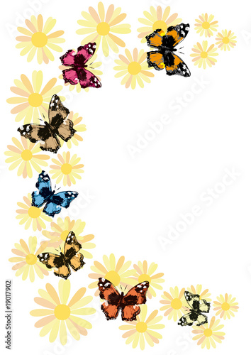 farfalle