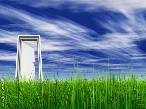 High resolution 3D white door opened in grass to the sky