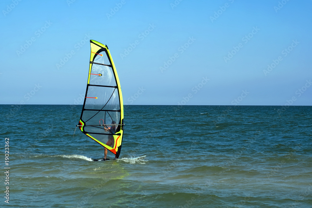 surfer surfer