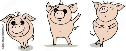 schweinchen 04