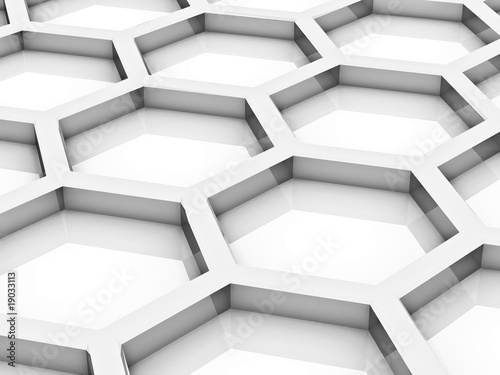 Bee honeycombs