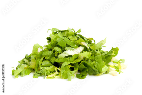pile of fresh cut endive over white background