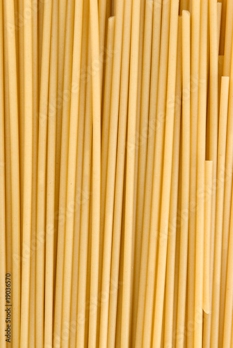 Spaghetti Closeup