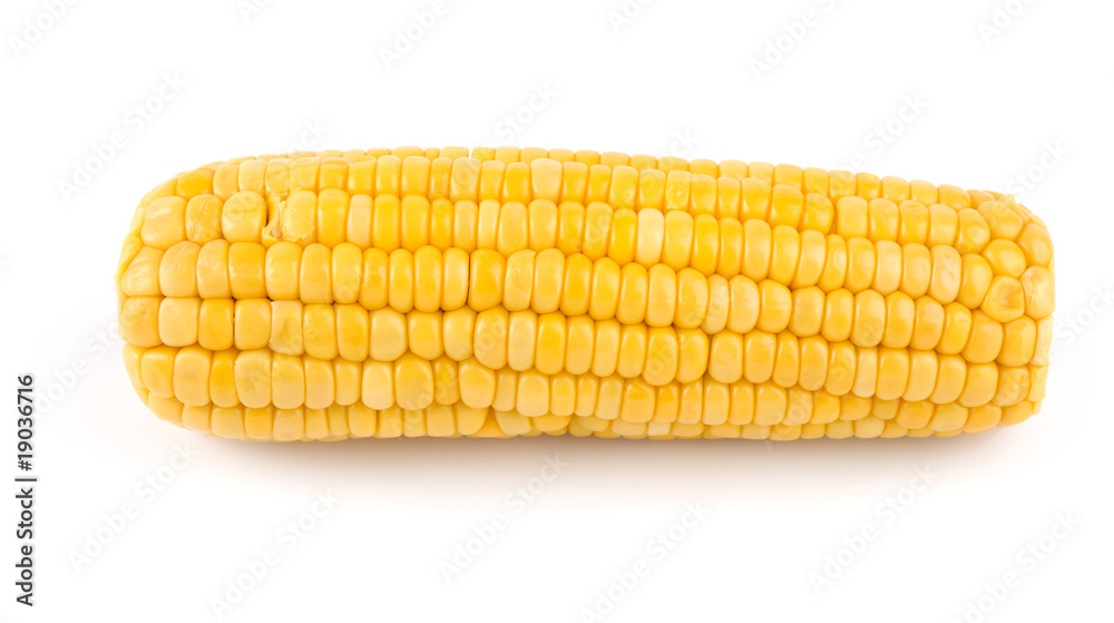 Fresh cooked corn cob isolated over white Fresh cooked corn cob isolated over white