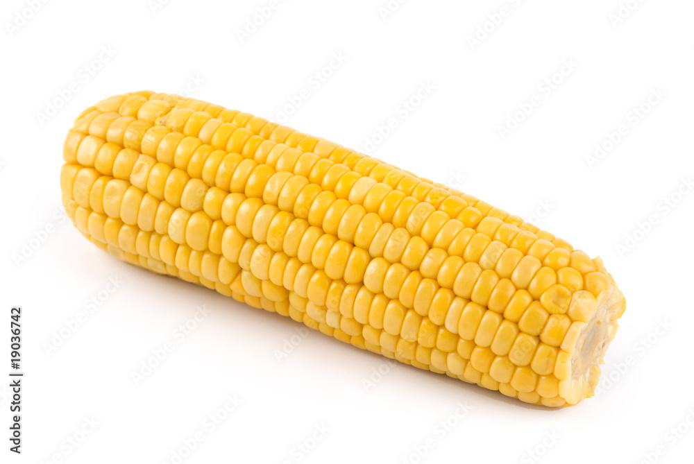 corn isolated on white background corn isolated on white background