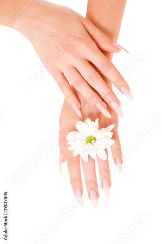 Woman hands with flowers