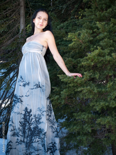 Attractive woman in dress on a winter scene