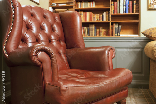 Old style armchair in front of bookshelves