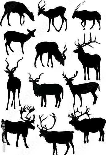twelve horned animal silhouettes
