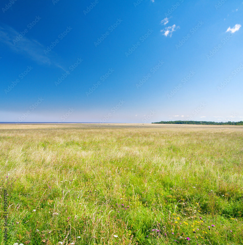 beautiful field and sky beautiful field and sky