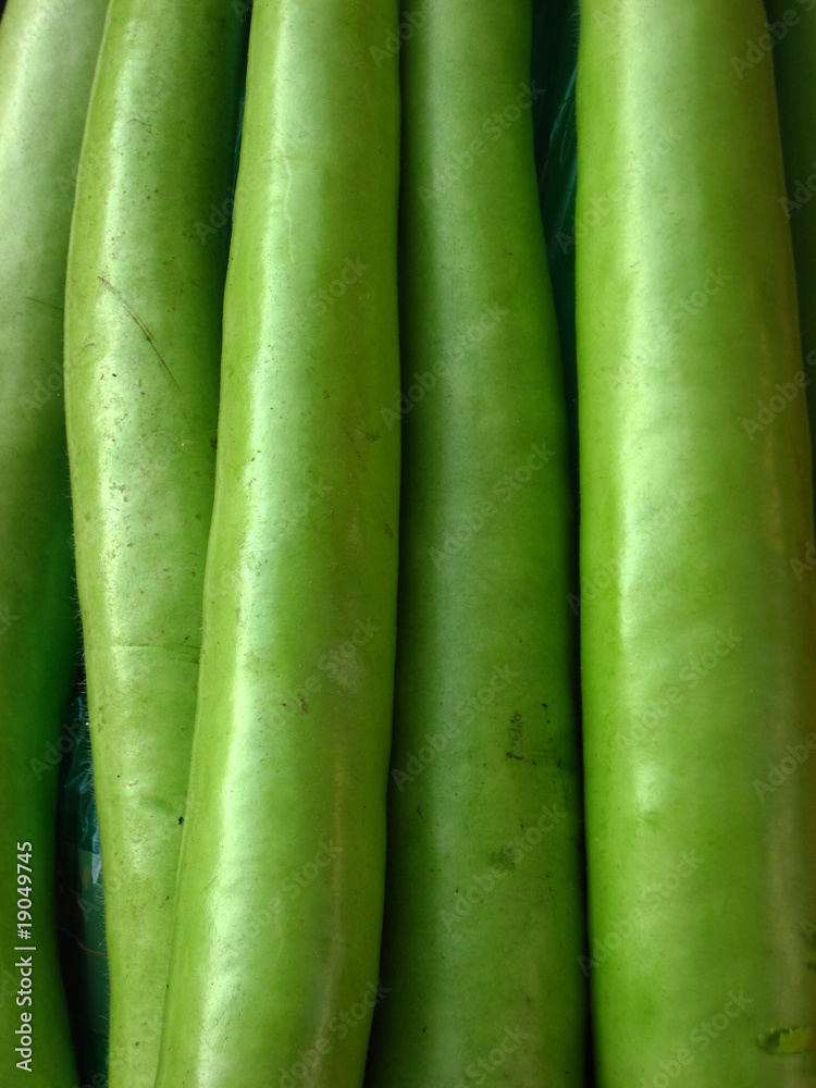 zucchine zucchine