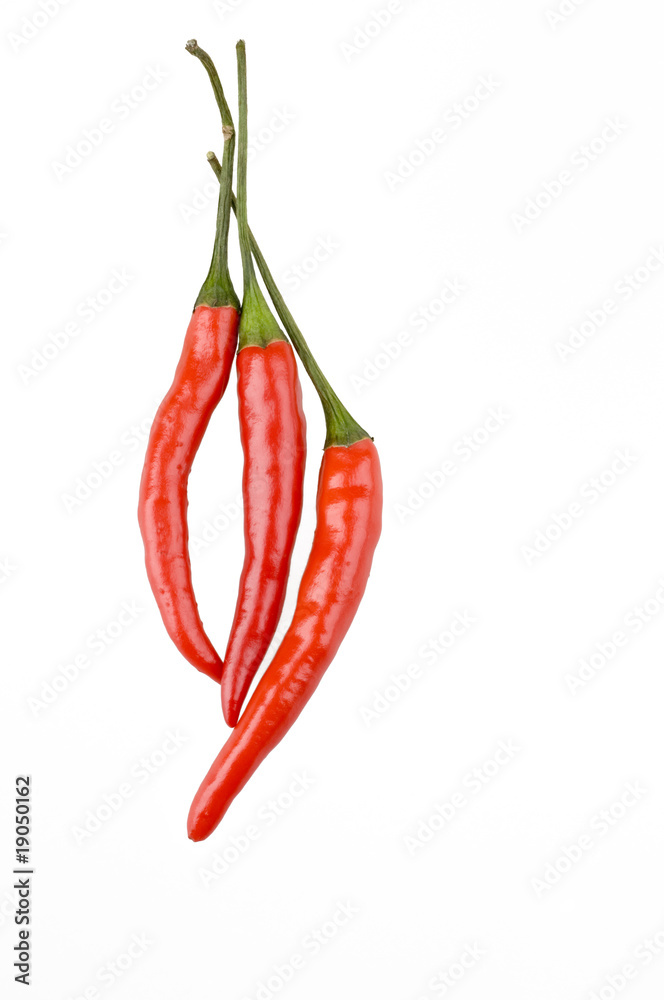 Color hot peppers isolated over white