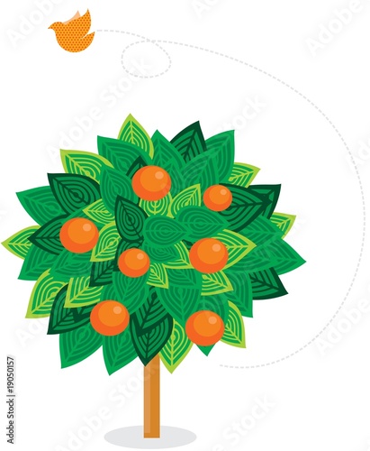 orange tree