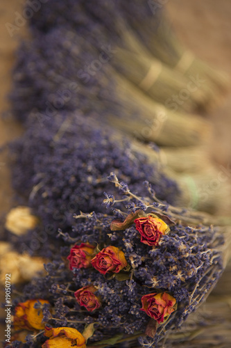Bouquets de lavande © Redzen