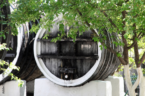 Obraz na płótnie Winy barrel
