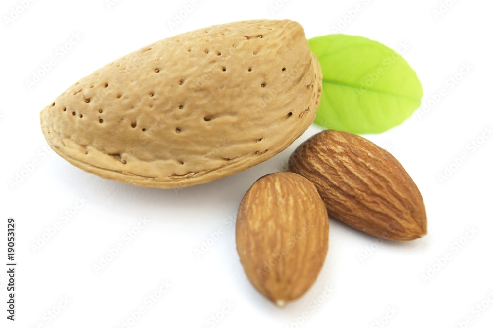 Almond with leaves Almond with leaves