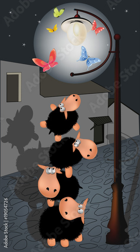 the company of sheep and lantern
