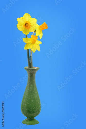 Daffodils in Vase
