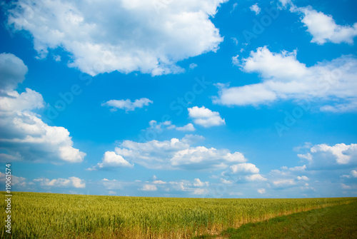 Grain field sky